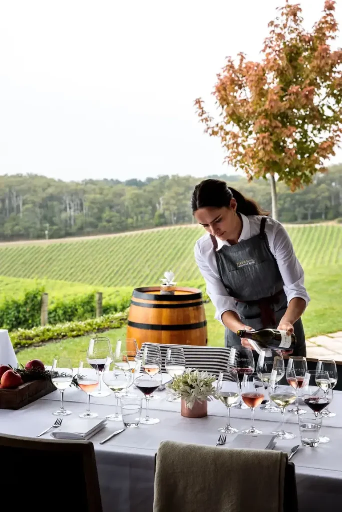 Adelaide hills wine tours