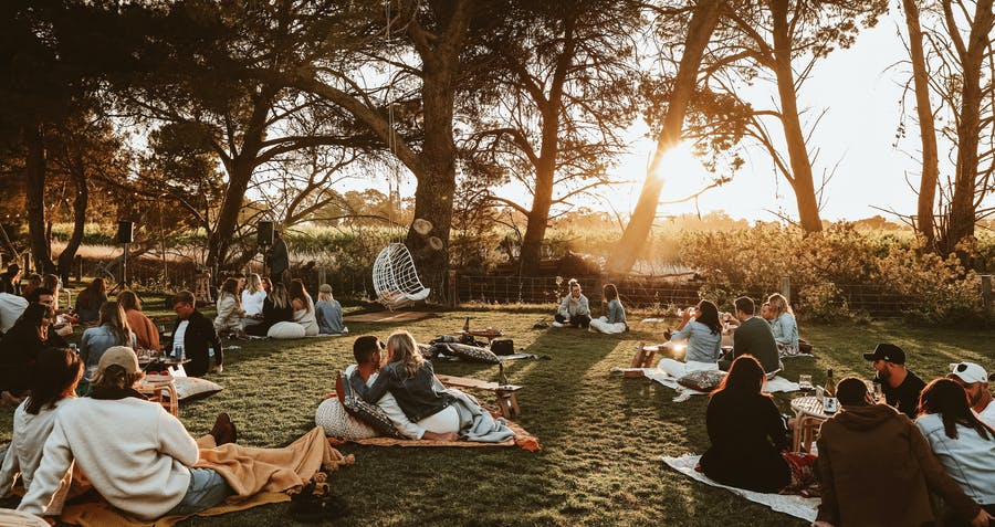 Wine Tours adelaide