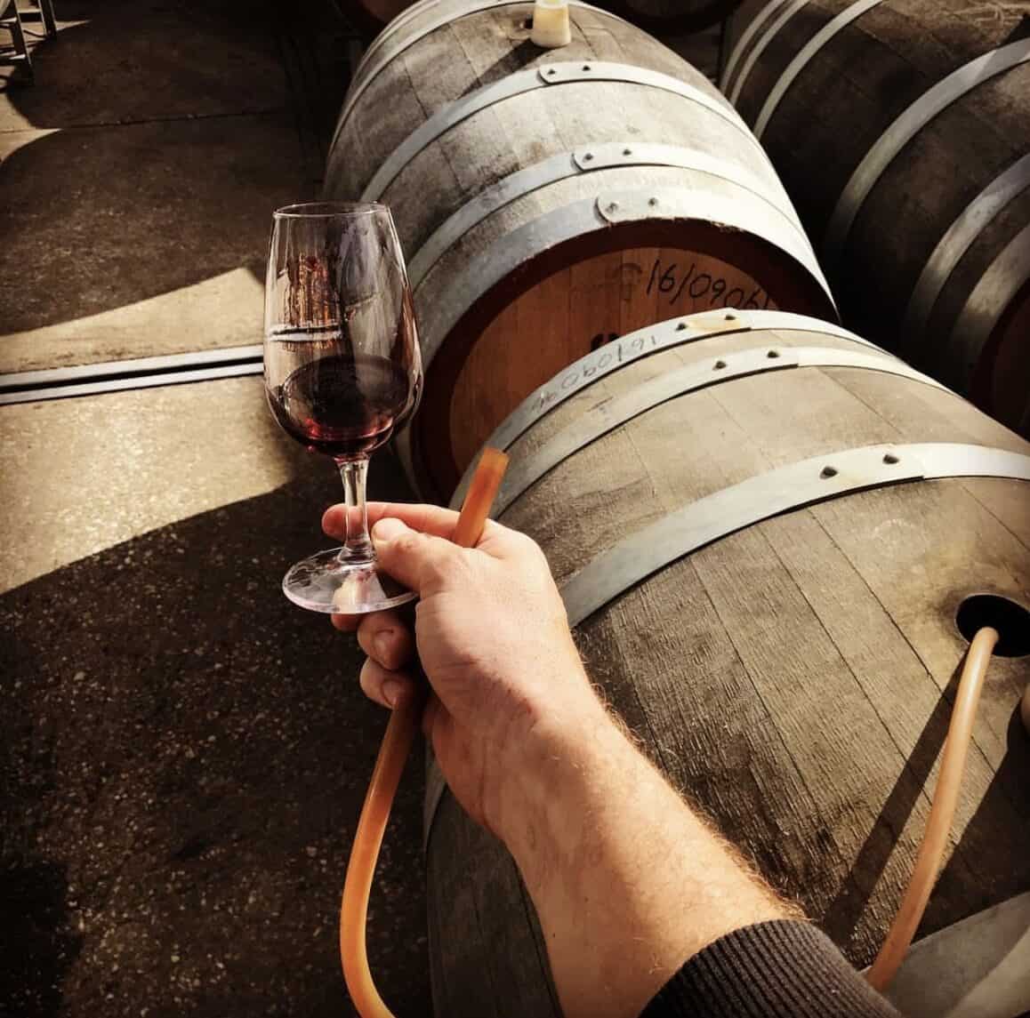 Barossa Valley wine tours are the first to taste the next award-winning wines straight out of the barrels.